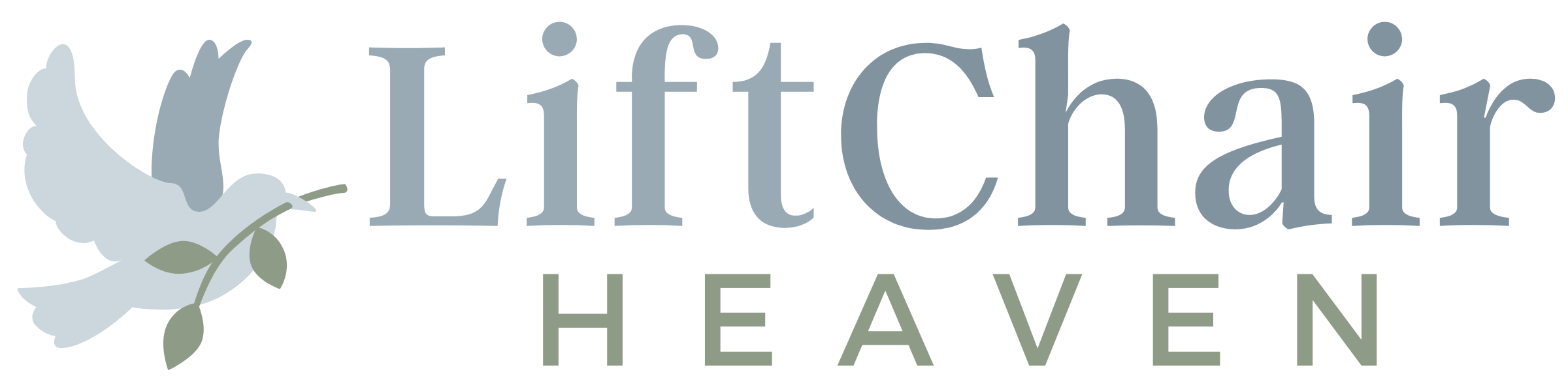 Things to Consider Before Buying a Lift Chair Your Ultimate Buying